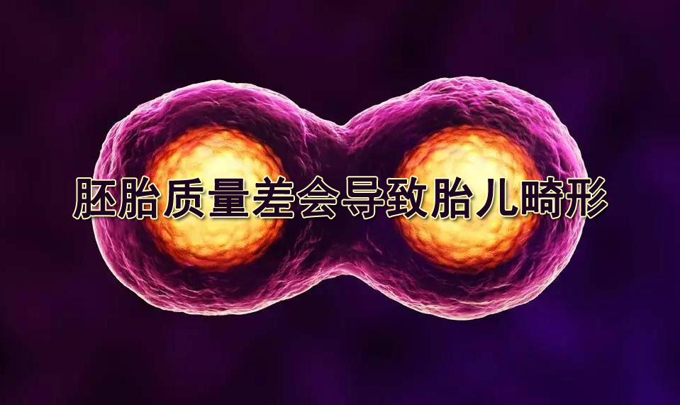 ��̥������ᵼ��̥������